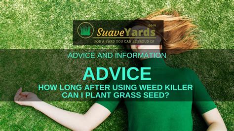 how long after weed killer can i plant flowers? what's the best time to plant flowers?