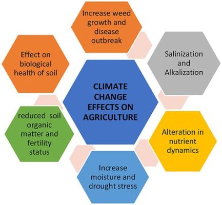 how long can greening out last: the impact of climate change on plant health