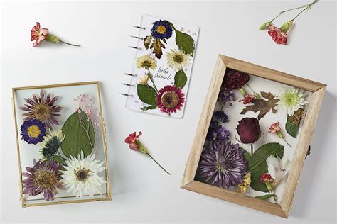 how to preserve flowers in a jar: exploring the art of botanical photography