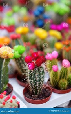 When Do Cactus Flowers Bloom: A Diverse Blooming Journey